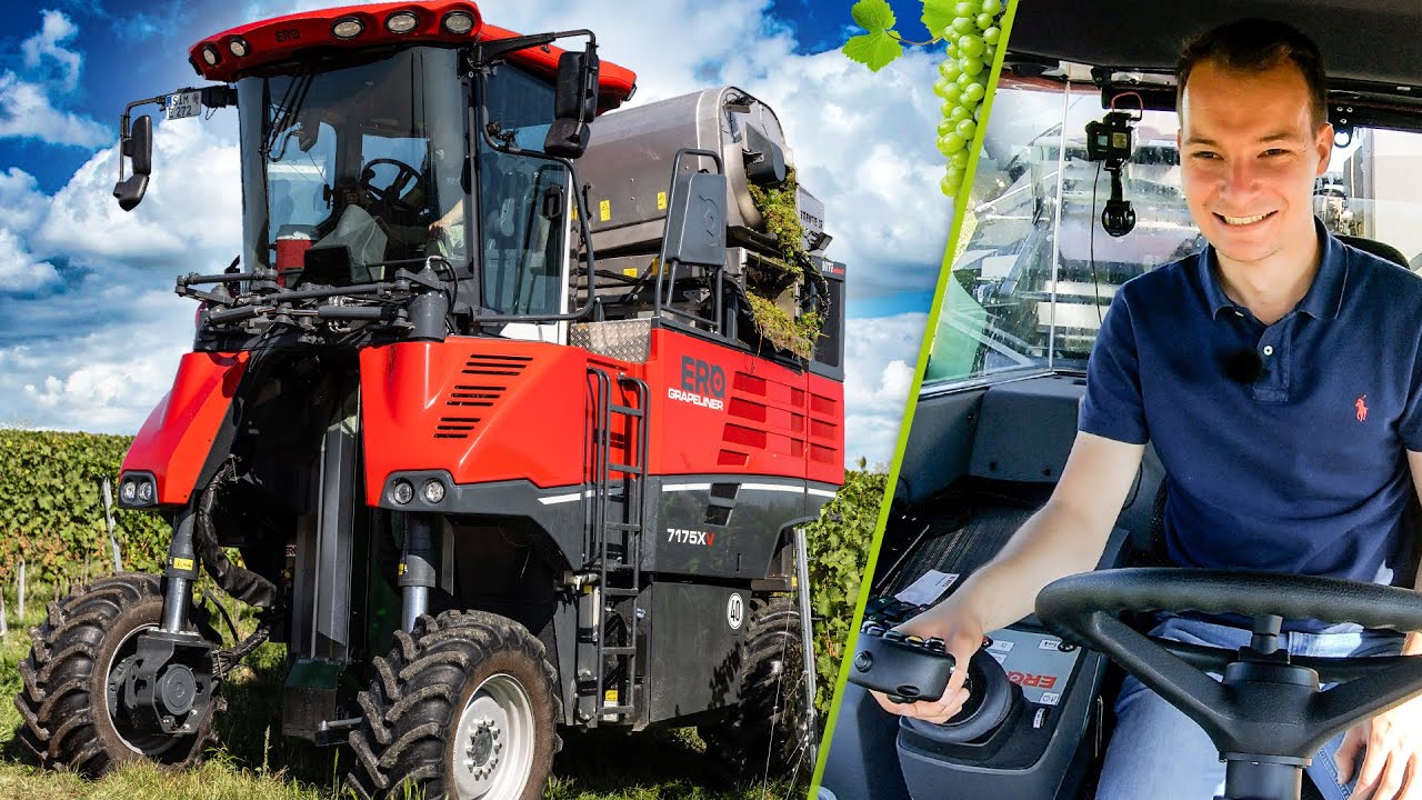 Von der Traubenlese bis zum Saft: Ich mache meinen eigenen Traubensaft! | ERO Grapeliner im Einsatz