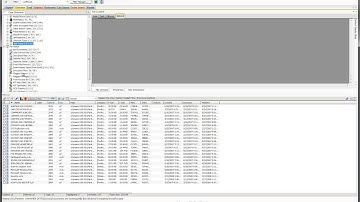 FTK Movie   Module 8   Flagging Files as Privileged or Ignorable