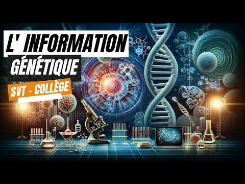 Vidéo: Quel est le rôle de l'information génétique ?