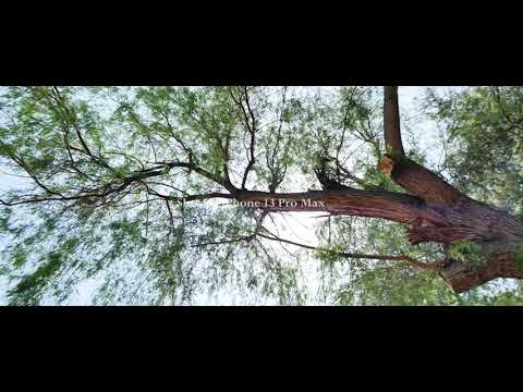 Anamorphic Lens + iPhone 13 Pro Max Cinematic Video
