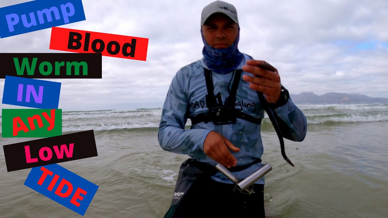 How to pump blood worm in any low tide 