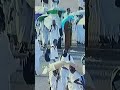 لبیک اللّٰھم لبیک،لبیک لا شریک لک لبیک،إنَّ الحمدَ والنِّعمةَ لکَ والمُلک،لا شریک لک۔ 🤲✨