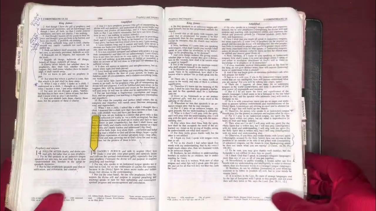 4 11 23 Psalm 103 1 Corinthians 14 1 40 AMPC Deuteronomy 25 1 26 4-11-23-psalm-103-1-corinthians-14-1-40-ampc-deuteronomy-25-1-26