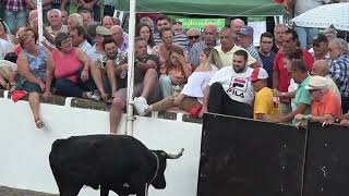 Tourada à corda in Porto Martins, 21 September 2022