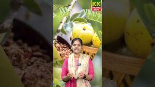 Health benefits of Amla juice consumption | KKNewsTelugu