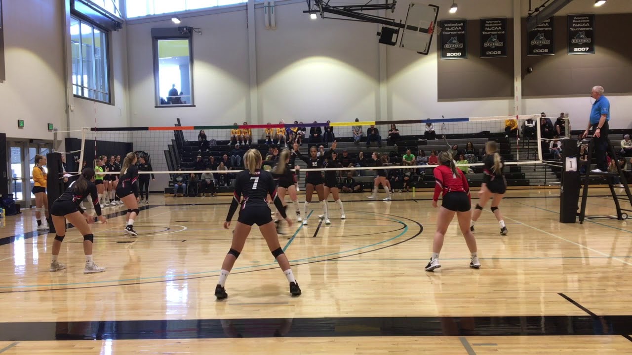 sports scholarships in australia for international students Aspen Aldous #4 Setter Class of 2020