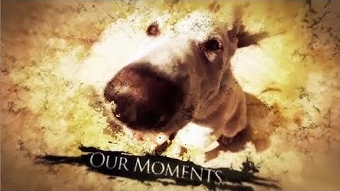 Ink Slides And Titles After Effects Templates