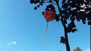 Maya Dynamics and Simulation: Balloon