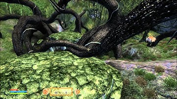 Oblivion Butterfly Scene!