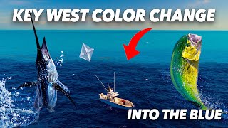 Mahi and Sails on the Color Change | Into the Blue