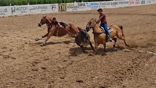 Parque Mauro Alves e aras, MF Categoria profissional