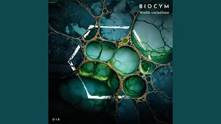 Wadis (Sauvage Dub Trio Remix)
