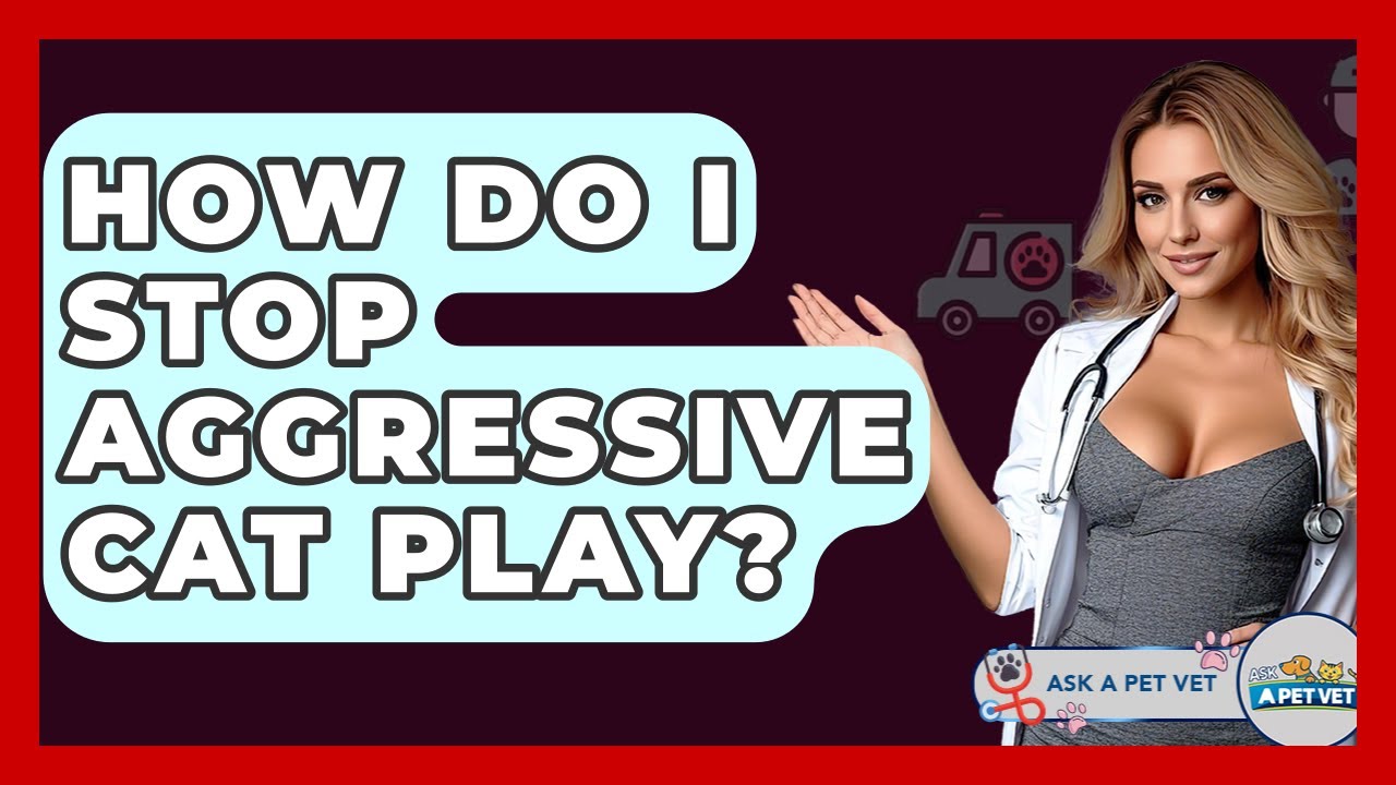 How Do I Stop Aggressive Cat Play? - Ask A Pet Vet