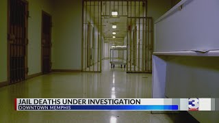 Fentanyl, suicide may be cause of two inmates' deaths in jail, sheriff's office says