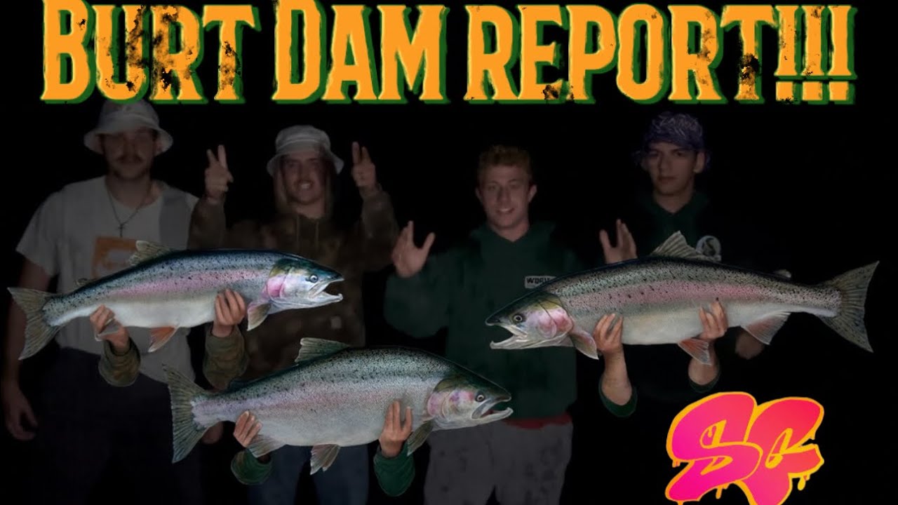 Burt Dam Salmon Report #2 (something is here)