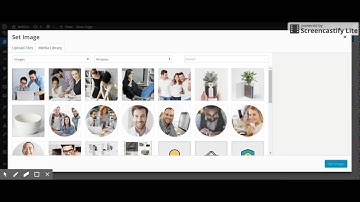 Befolio WordPress Theme - Testimonials slider shortcode