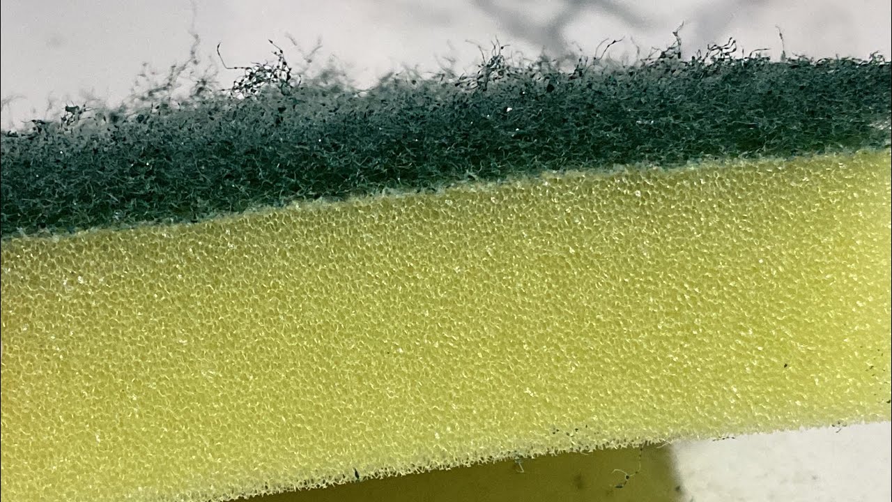 Asmr dry sponge (ripping , sound & close up)