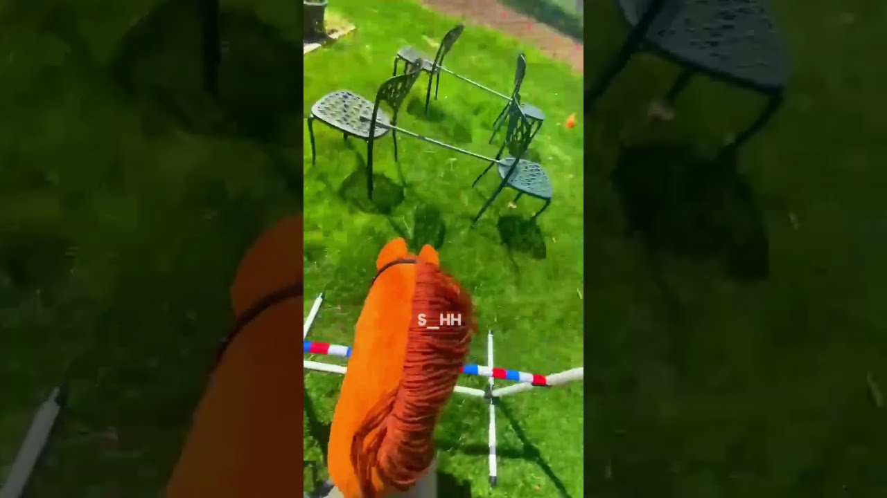 How Many Jumps Did You See In This Gridwork Hobbyhorse Hobbyhorsing Viral