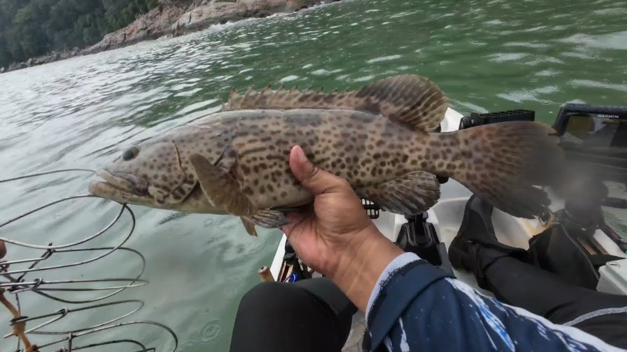 Kayak Fishing Malaysia | 3 bulan tak turun mancing | Ikan kenal lagi | Kerapu dan Daun Baru