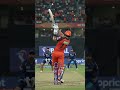 what a shot
