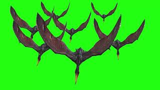 Group Of Pterodactyl Fly Down | Green Screen 3D Animation Video