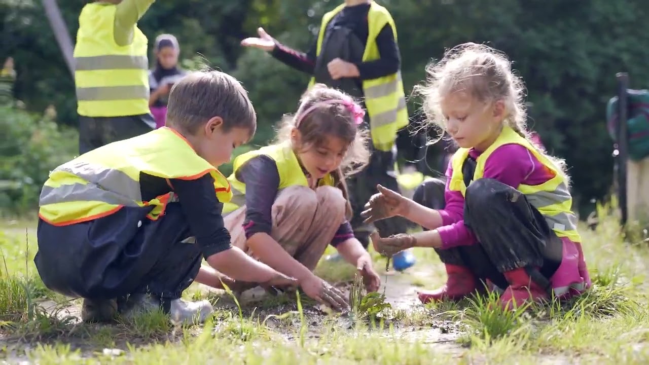 Varför mår vi bra i naturen?