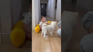 Dog Disapproves Baby’s Request During Playtime