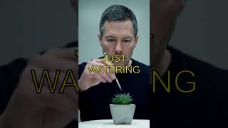 Ofis Bitkine Böyle Davranma... #shorts