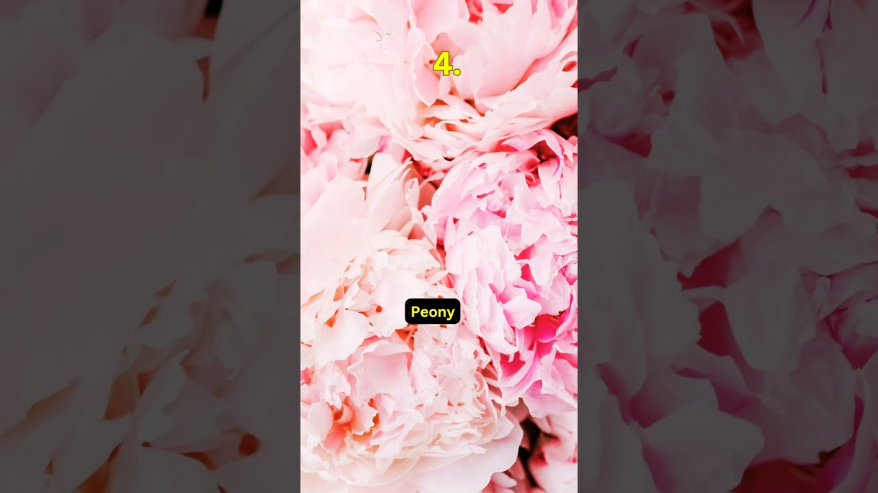 Unveiling Nature's Masterpieces: Top 10 Exquisite Flowers That Will Mesmerize You