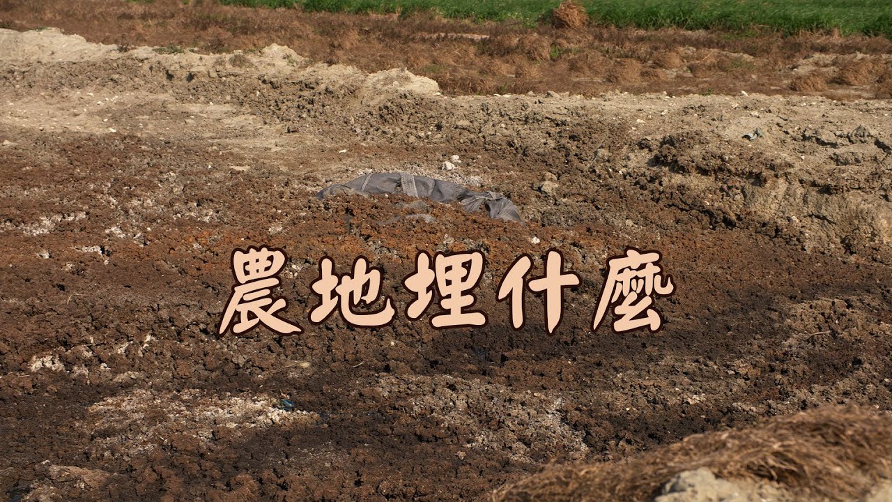 【農地污染】農地埋什麼｜那些不該出現的有害廢棄物 (我們的島 1123集 2021-09-20)