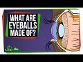 What Are Eyeballs Made Of?
