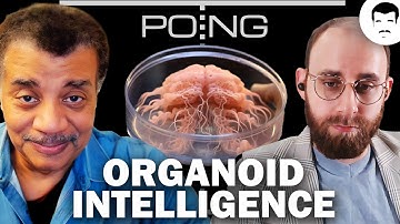 Scientists Discuss the Future of Biological Computing