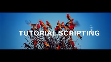 MTA|Scripting|#5 - Funciones basicas