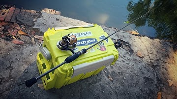 Thẻo Câu Lure Cá Lóc Dịch Vụ Siêu Đỉnh Trị Cá Lóc Bể Nhát Mồi | Bí Quyết Cách Câu Cá Lóc Dịch Vụ