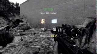 Insane Weapon/Equipment Switch Suicide Trickshot! (BO2)