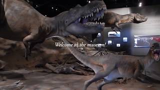 Royal Tyrrell Museum // Drawing From Life // Art Vlog // Mary Sanche