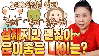 2022년 새로 삼재가 시작되는 쥐띠, 용띠, 원숭이띠! 이 띠들 중에서도 삼재지만 별탈없이 지나가는 운 좋…