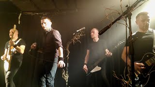 The Old Dead Tree -  Is your soul for sale ?  - Someone should know… ( Live à Brest - 26/11/ 2022)