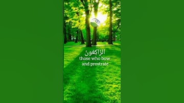 التائبون العابدون الحامدون السائحون 🤍 القارئ: إسلام صبحي 🍃🤍