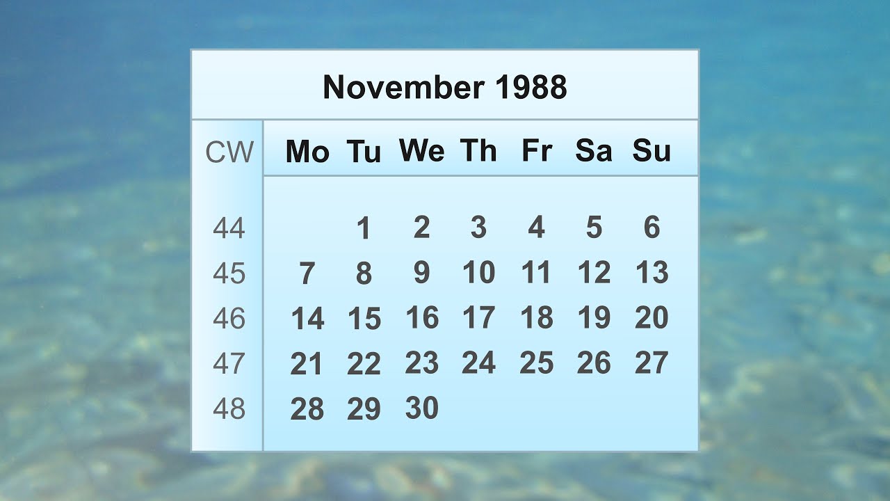 November 1988 Calendar