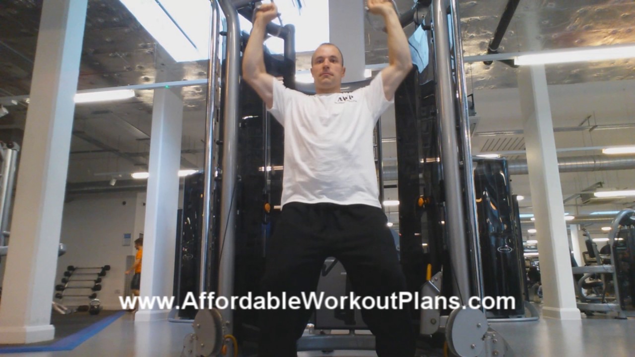 videos for cats Standing Cable Shoulder Press (shoulder exercise)