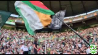Dying rebel 🍀