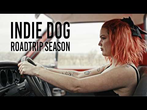 Roadtrip Season - Indie Dog (Official Music Video)