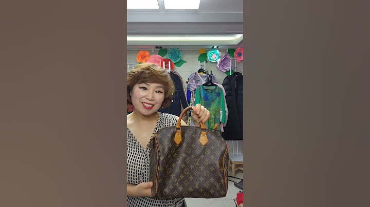 루이비통 스피디 30
