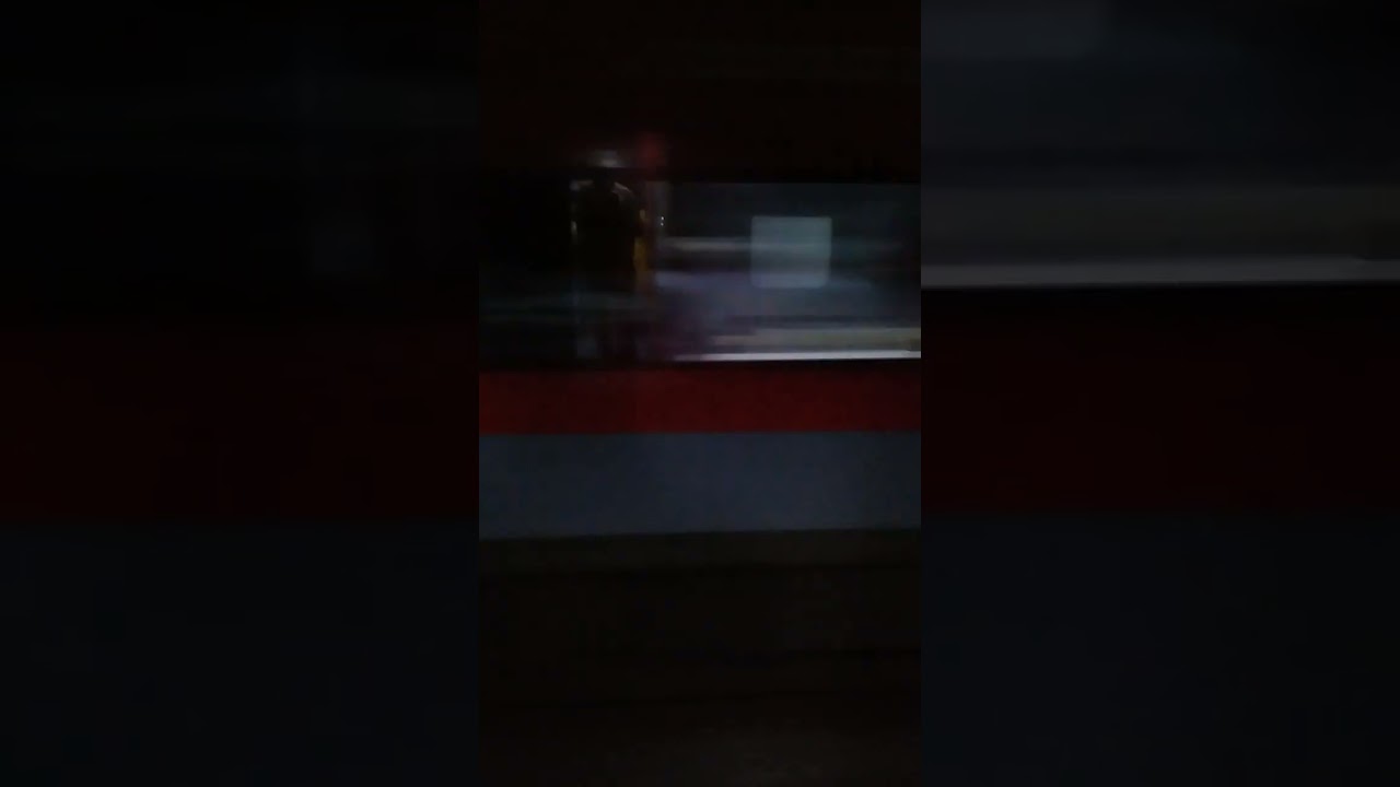 12867 Howrah-Pondicherry Express at full speed