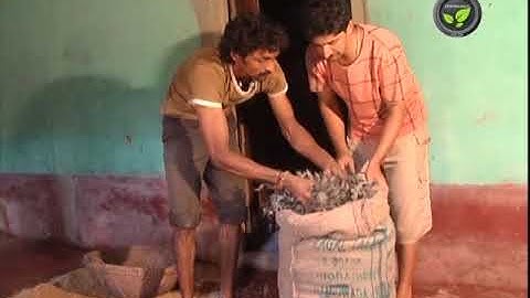 Non Chemical Methods For Storage Pest Control