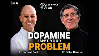 Dopamine Isn't Your Problem | Richard Davidson on the neuroscience of dopamine