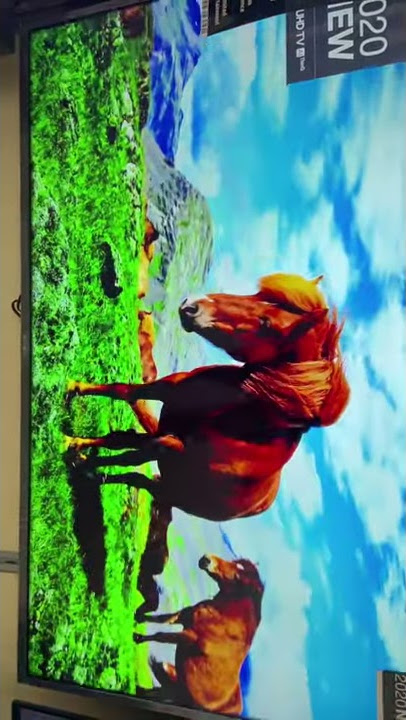 Lg 55 Inch 2020  UHD Led TV 55NU7350 | Unboxing #shorts