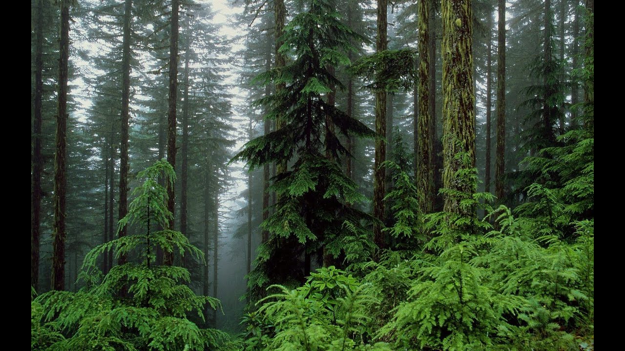 Ask An Alchemist -- Why Nature Sucks