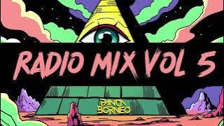 PANCA BORNEO RADIO MIX VOL 5